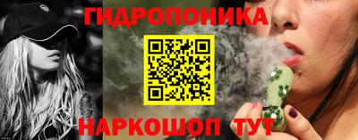 apvp Обнинск