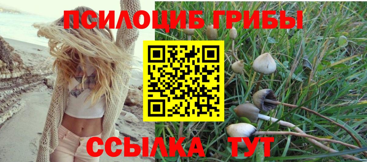 Галлюциногенные грибы Cubensis  Вход с VPN  Тула 